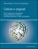 Cellule e Segnali